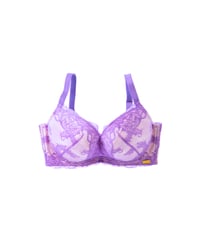 Amethyst Veil Bra