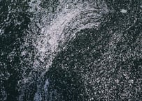 オンデマンド配信：焚き火のある写真塾 特別講座『散歩しながら写真を』（柏倉 陽介）