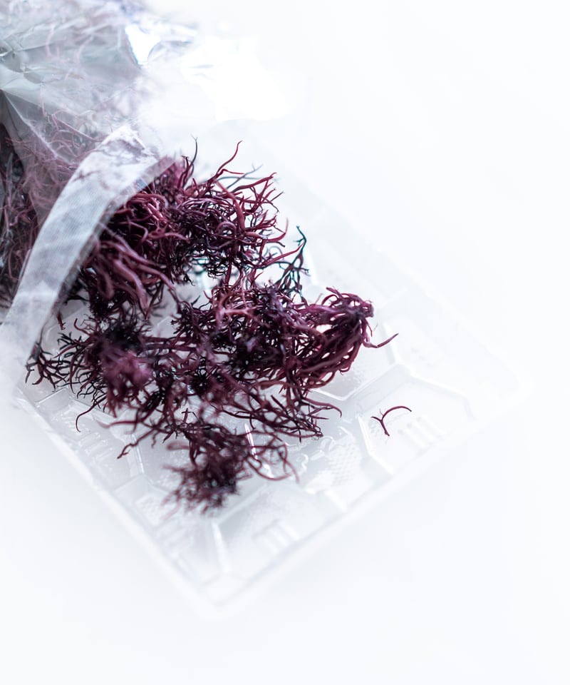 ふのり10枚 三陸産ふのり15g | 三陸わかめ屋ムラカミ