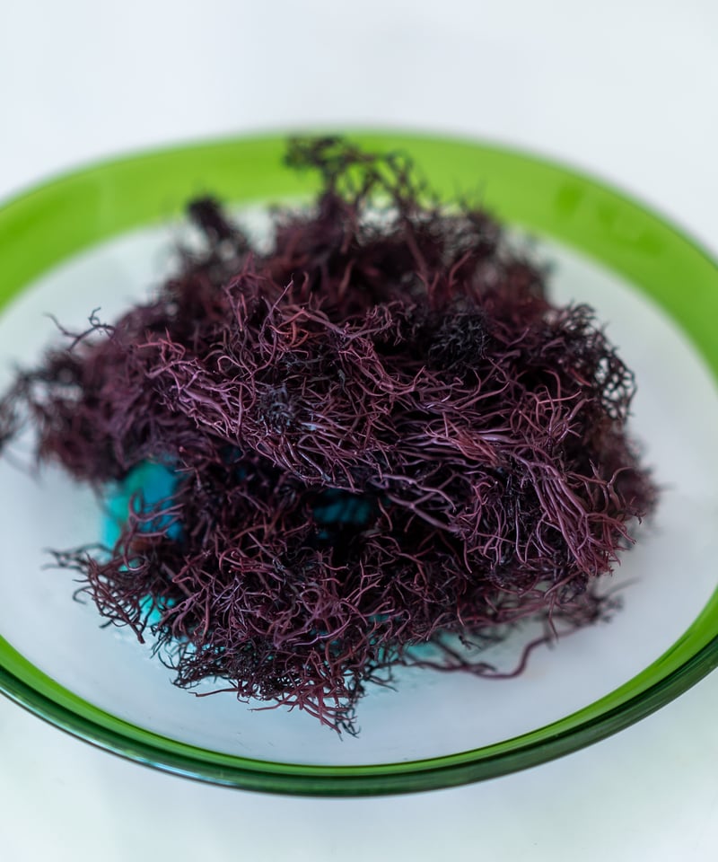 伊豆産ふのり 25g | 渚屋商店