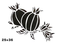 《サンデコステンシル》NATURE MOTIFS Pomegranate  25×36 / DM-2
