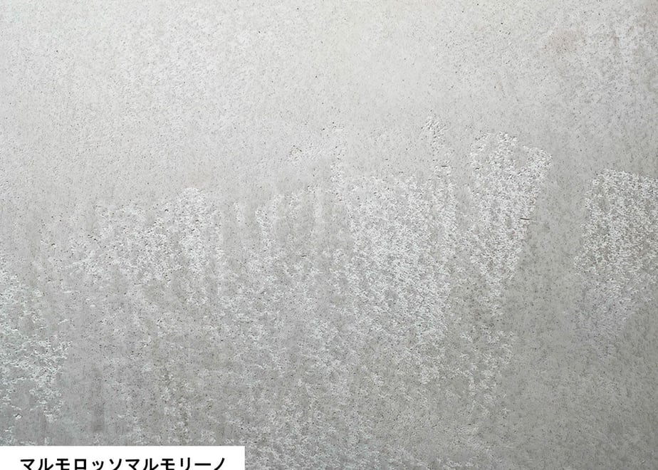 64e857d8835a67003a4f616d