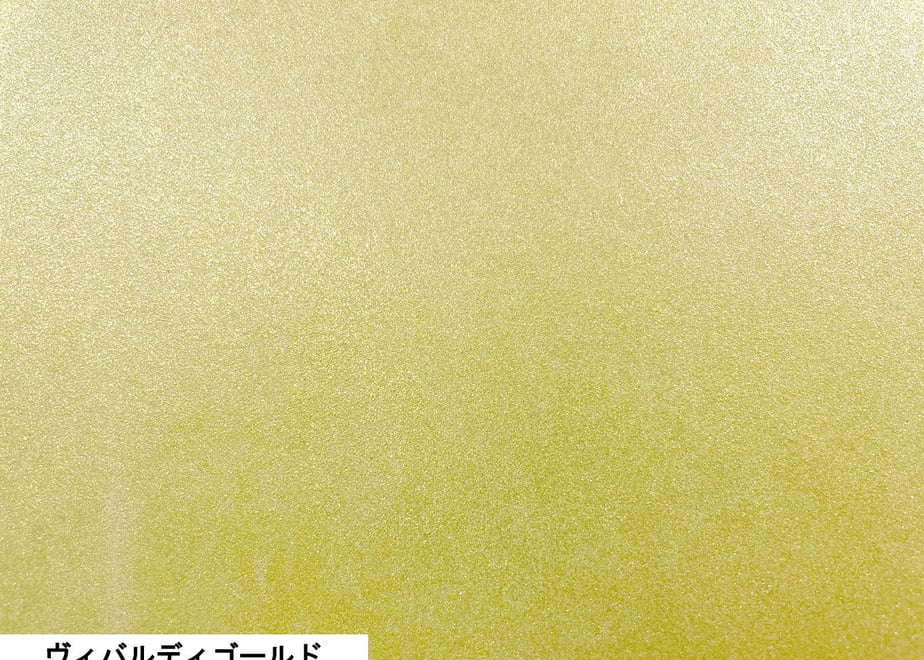 64e72895b2e234002ec495a4