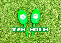 ※ 6月10日発送※●蛍光グリーン●【パリティー】（5本）50セット限定