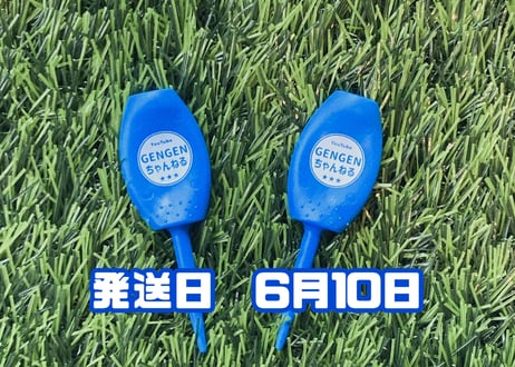 ※6月10日発送※●ブルー●　【パリティー】（5本）50セット限定