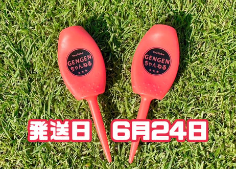 ※6月24日発送※●レッド●　【パリティー】（5本）50セット限定