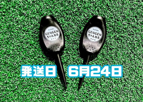 ※6月24日発送※●ブラック●　　【パリティー】（5本）50セット限定
