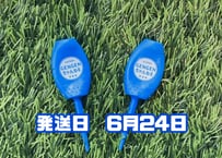 ※6月24日発送※●ブルー●　【パリティー】（5本）50セット限定
