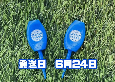※6月24日発送※●ブルー●　【パリティー】（5本）50セット限定