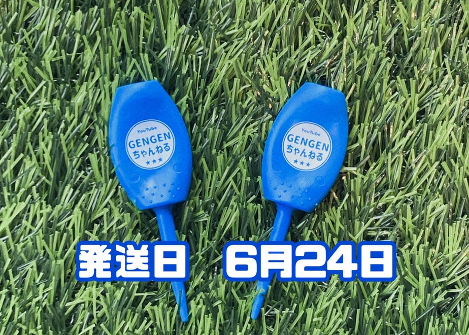 6a2f587ee70d970d8a2757f3