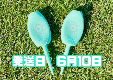 ※6月10日発送※●パステルグリーン●【パリティー】（5本）50セット限定
