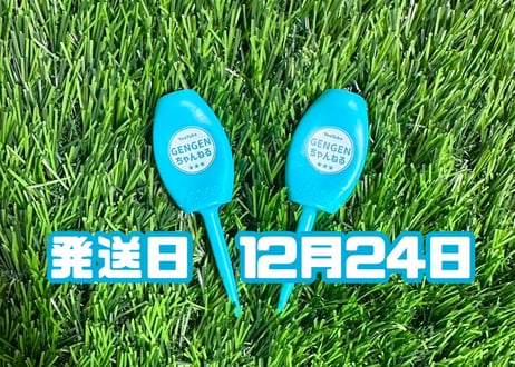 ⭐️ゲンゲンページです⭐️ GENGENちゃんねるSTORE