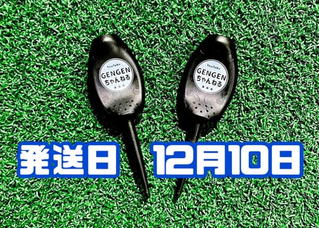 ⭐️ゲンゲンページです⭐️ GENGENちゃんねるSTORE