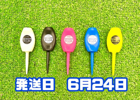 ※6月24日発送※●ミックス5色セット●【パリティー】（5本入)