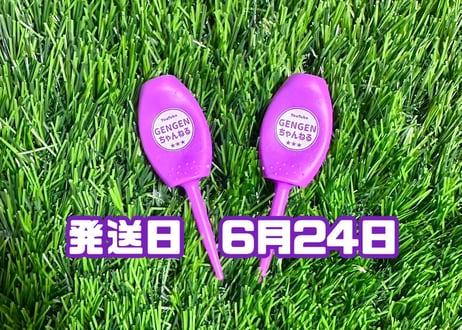 ※6月24日発送※●パープル●　【パリティー】（5本）50セット限定