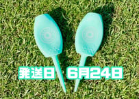 ※6月24日発送※●パステルグリーン●【パリティー】（5本）50セット限定