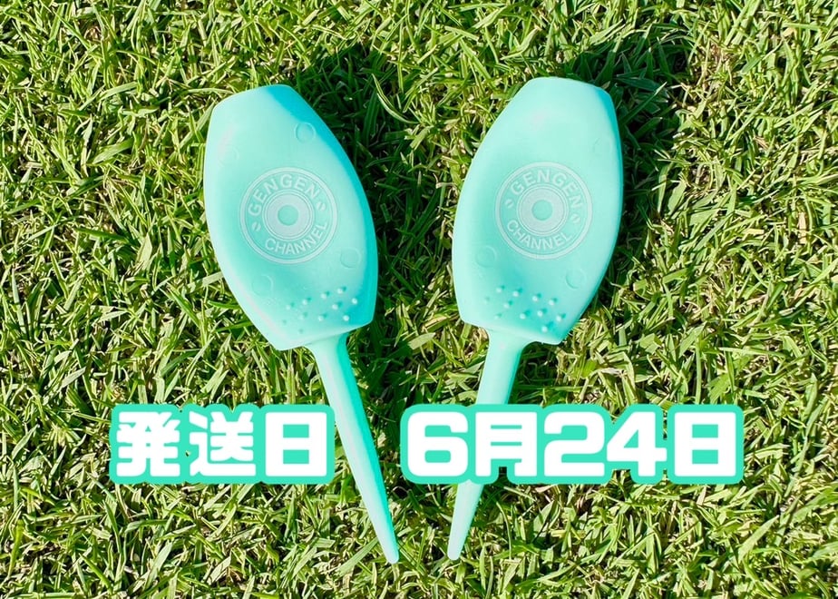 6a2f56ebe70d9706bf27560a