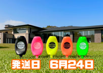 ※6月24日発送※●蛍光5色セット●【パリティー】（5本入)