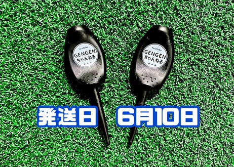 ※6月10日発送※●ブラック●　　【パリティー】（5本）50セット限定