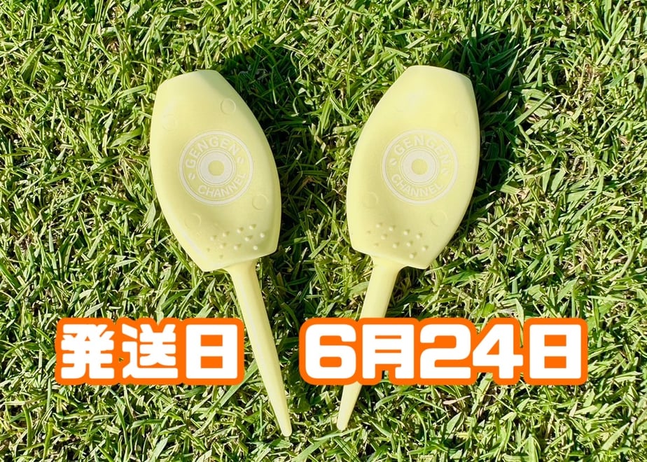 6a2f5660df8774004630a92a