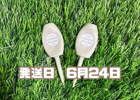 ※6月24日発送※●カーキ●　【パリティー】（5本）50セット限定