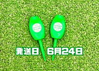 ※ 6月24日発送※●蛍光グリーン●【パリティー】（5本）50セット限定