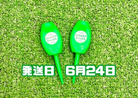 ※ 6月24日発送※●蛍光グリーン●【パリティー】（5本）50セット限定
