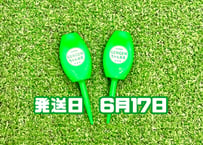 ※ 6月17日発送※●蛍光グリーン●【パリティー】（5本）50セット限定