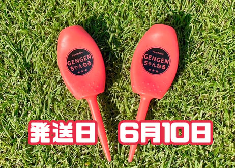 ※6月10日発送※●レッド●　【パリティー】（5本）50セット限定