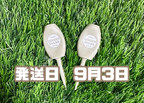 パリティー100本通常色　ゴルフティー　GEN GENロゴなし パリティー100本蛍光色 GEN GENロゴなしゴルフティー Amazon.co