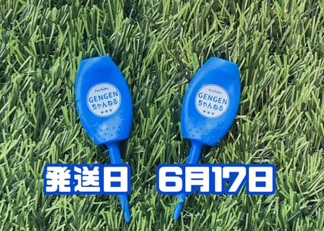 ※6月17日発送※●ブルー●　【パリティー】（5本）50セット限定