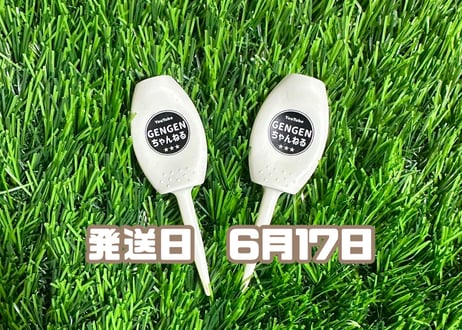 ※6月17日発送※●クリーム●　【パリティー】（5本）50セット限定