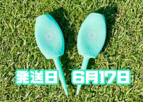 ※6月17日発送※●パステルグリーン●【パリティー】（5本）50セット限定