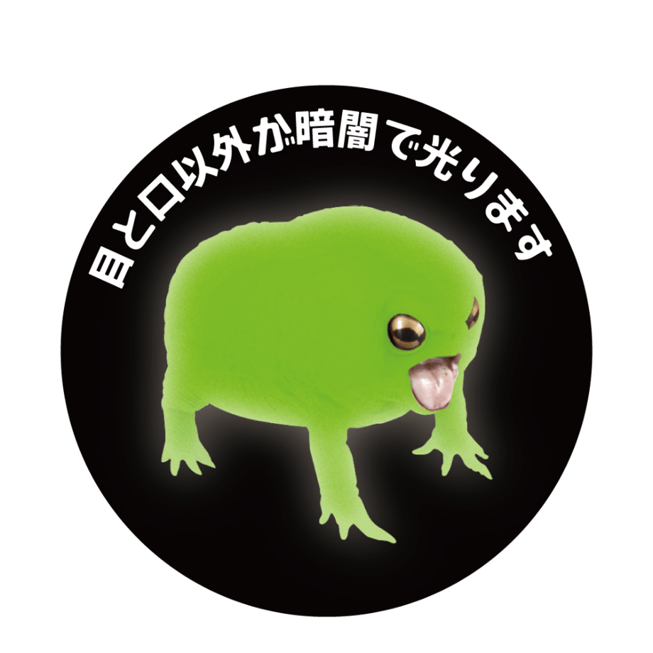 62165f9e72c5de5ff5057b3c