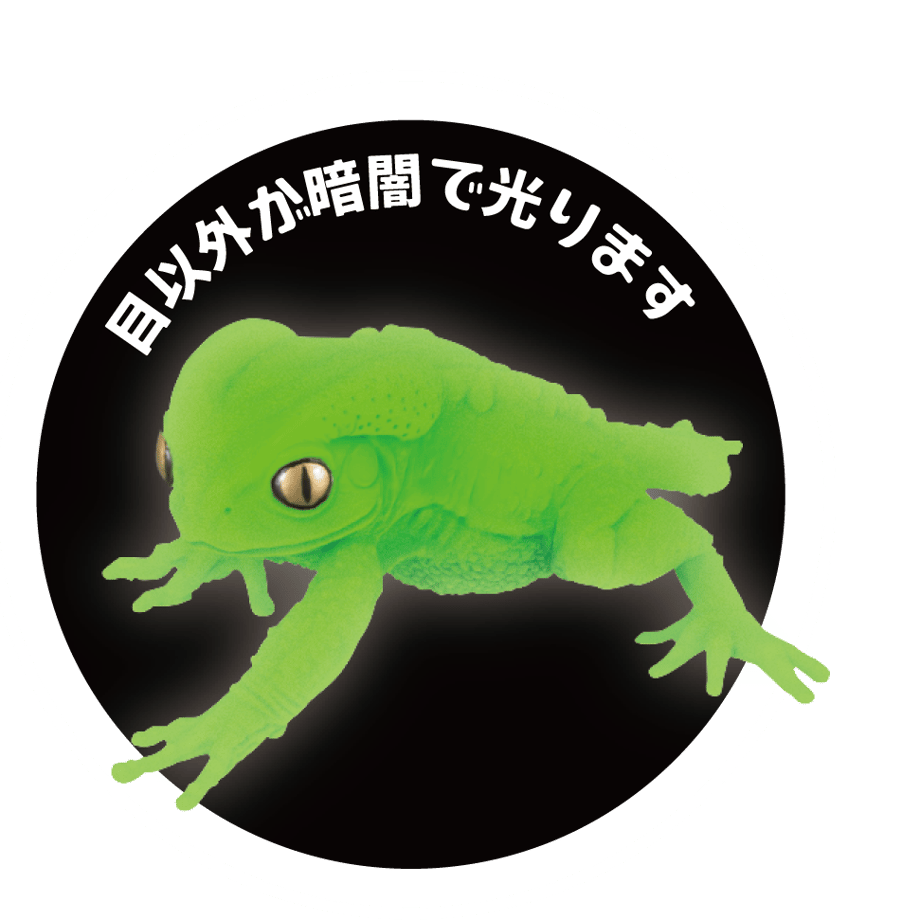 62165f9e72c5de5ff5057b3c