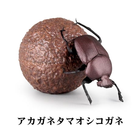 【数量限定復活】アニマリエコレクション 1/1 フンコロガシ【1BOX／4個入り】(2月下旬発送予定)