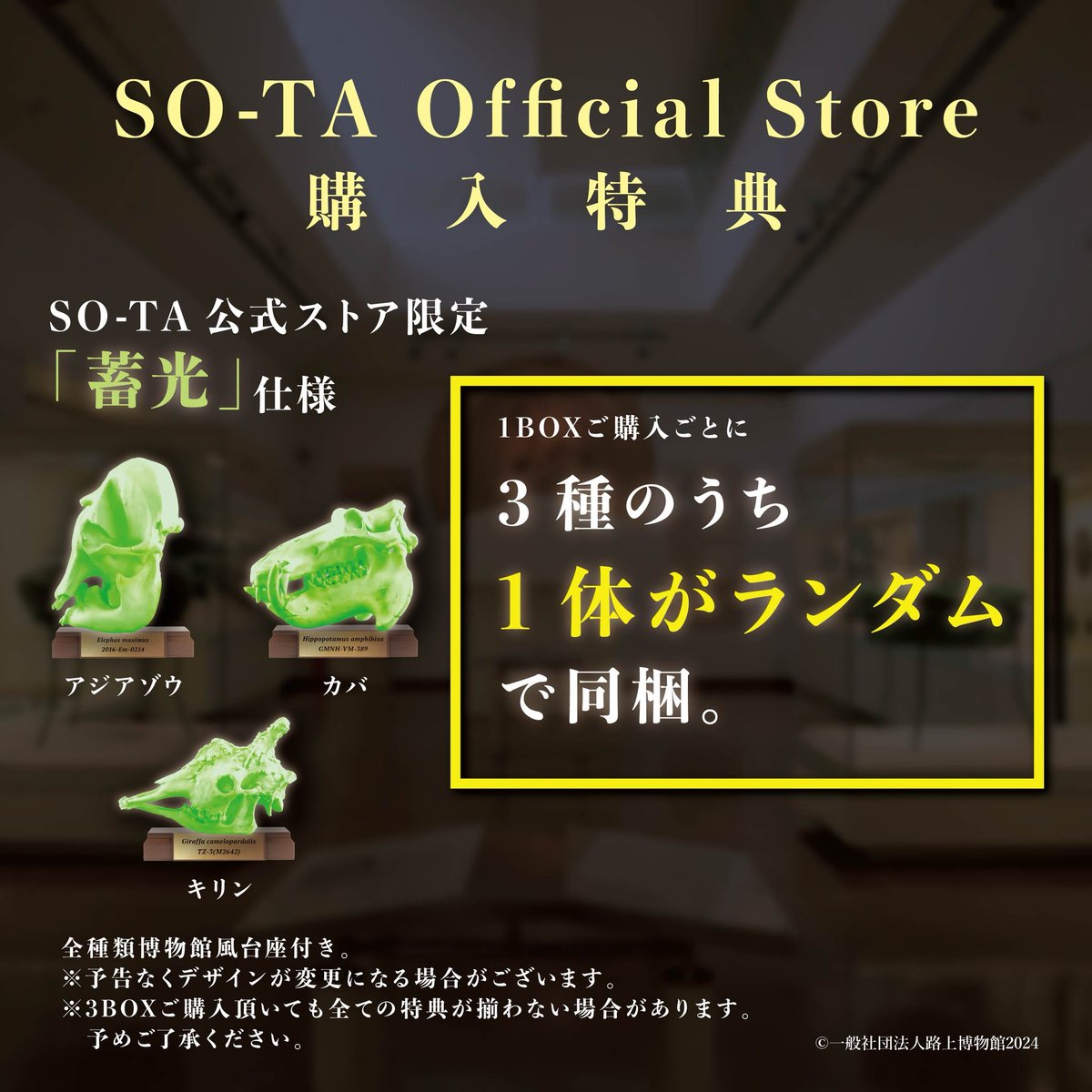 予約受付終了】路上博物館 特別展－植物食－【1BOX／6個入】《予約