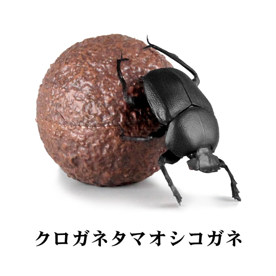 623c264aa861136ecfe4f723