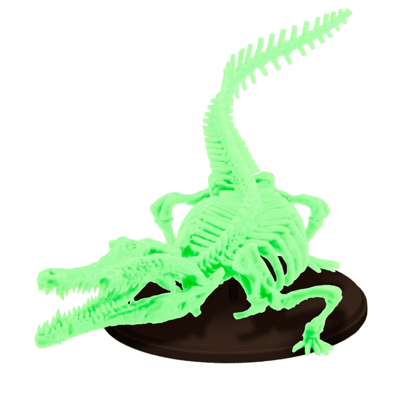 予約受付終了】博物モデリング倶楽部・参 1/35マチカネワニ骨格 予約受付終了】博物モデリング倶楽部・参 1/35マチカネワニ骨格