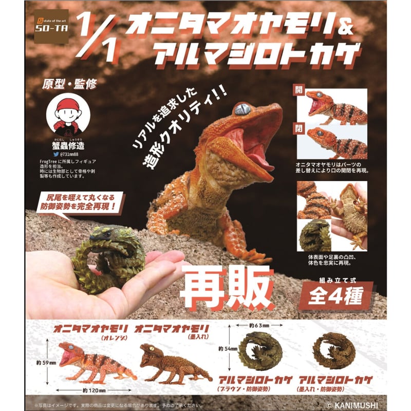 トゲムネキバカミキリ2 ペルー産 トゲムネキバカミキリ 104mm