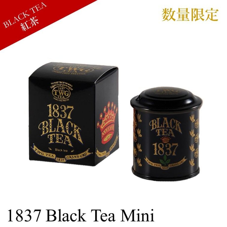 6423d2bf2358c6002ae9c8c5