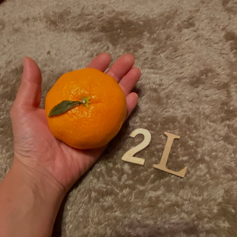 くんちゃんのみかん