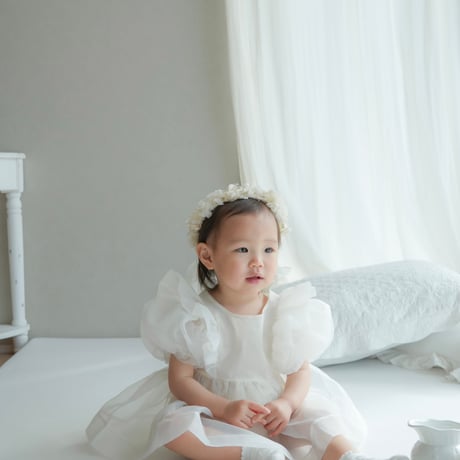 Ines organza dress