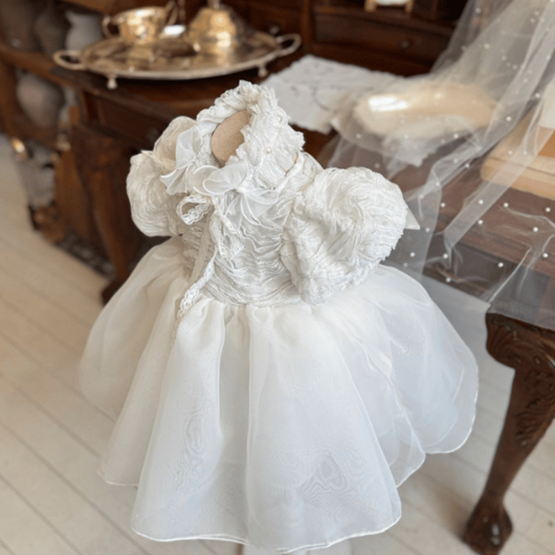 予約】marron Diadr suit ＆ dress | novel.