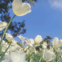 送料