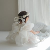 Ines organza dress