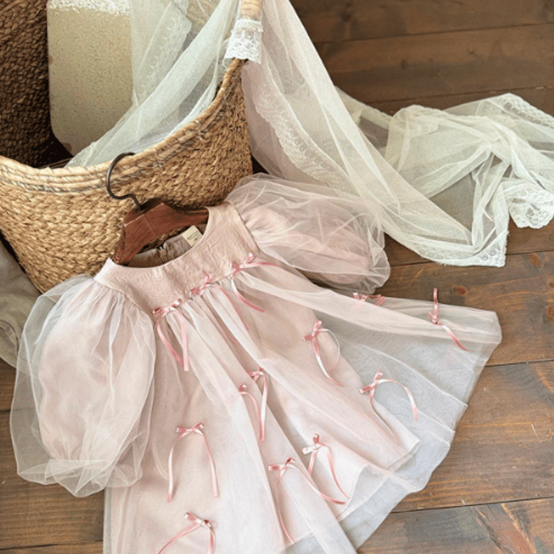 andmary アンドマリーRojina ribbon dress brown andmary Rojina