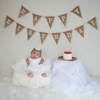 Triangle Happy Birthday  garland