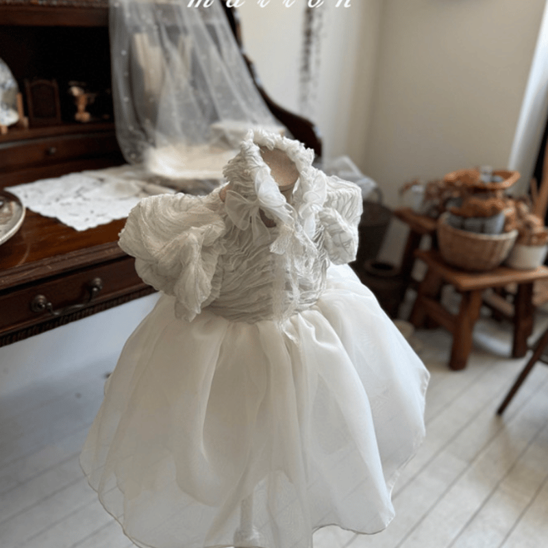 予約】marron Diadr suit ＆ dress | novel.