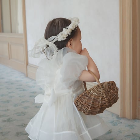 Ines organza dress